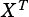 XT